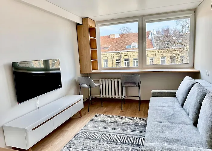 New Studio In The Center Of Vilnius